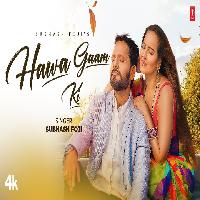 Hawa Gaam Ki Geetanjali Mishra Suman Sain JD Ballu Shiva Banga New Haryanvi Songs Haryanavi 2023 By Subhash Foji Poster